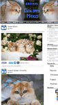 Mobile Screenshot of goldenneko.com